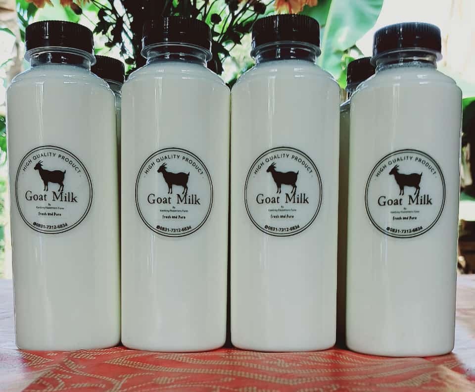 Susu Kambing Murni